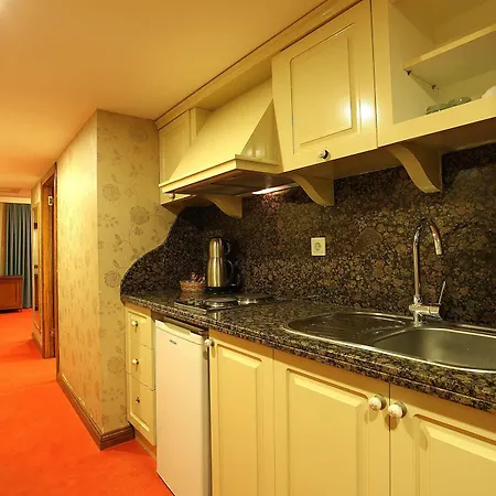 Moss Hotel apartamentowy Stambuł